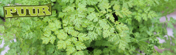 org:/banners product categories/themes/puurheader.jpg